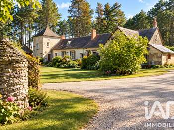 Vente maison 11 pièces Saint-Georges-sur-Cher 41