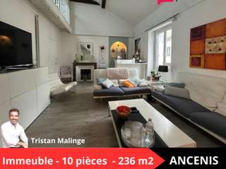 Vente maison 10 pièces
