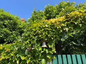Vente Maison 2 chambresSaint-Gilles-Croix-de-Vie