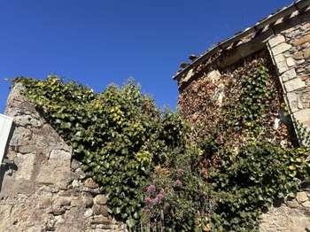 Vente Maison 2 chambresSaint-Gilles-Croix-de-Vie
