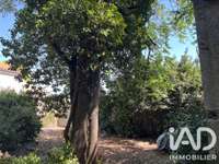 Vente maison 1 pièce Vente maison 1 pièce