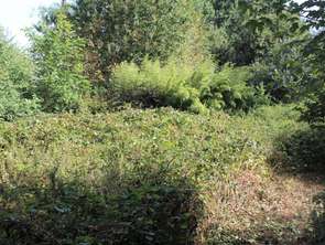 Vente Maison 2 chambresSaint-Gonnery