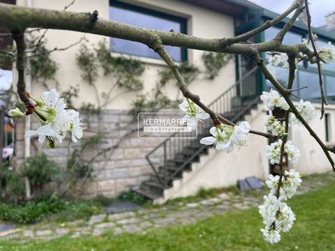 Vente maison 9 pièces Saint-Grégoire 35