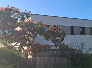 Vente Maison 4 chambresSaint-Grégoire