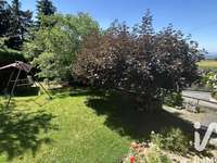 Vente maison 13 pièces