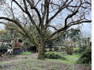 Photo Vente maison Saint-Herblain