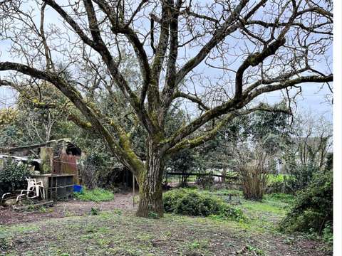 Vente maison 4 pièces Saint-Herblain 44