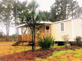 Vente maison 3 pièces Saint-Hilaire-de-Riez 85