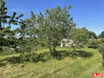 Vente maison 5 pièces Saint-Hilaire-de-Voust 85