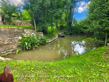 Vente maison 7 pièces Saint-Hilaire-la-Palud 79
