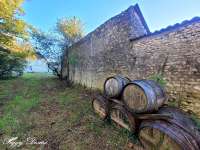 Vente maison 14 pièces