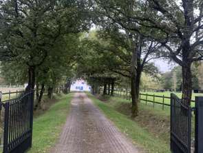 Vente Maison 11 piècesSaint-Jean-de-Monts