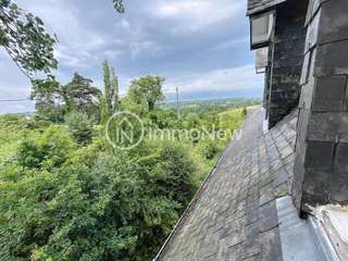 Vente maison 20 pièces