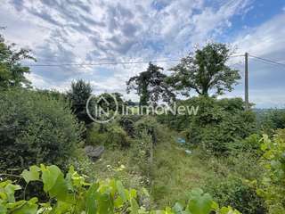 Vente maison 20 pièces