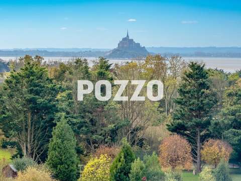 Vente maison 3 pièces Saint-Jean-le-Thomas 50