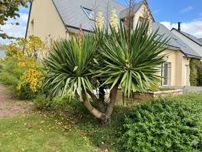 Vente Maison 3 chambresSaint-Jean-le-Thomas
