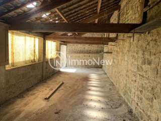 Vente maison 11 pièces