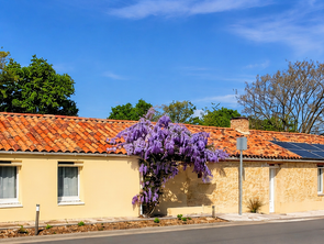 Vente Maison 5 chambresSaint-Julien-des-Landes