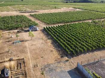 Vente maison 4 pièces Saint-Lambert-du-Lattay 49