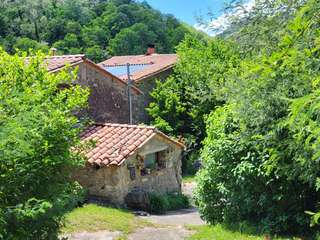 Vente maison 13 pièces