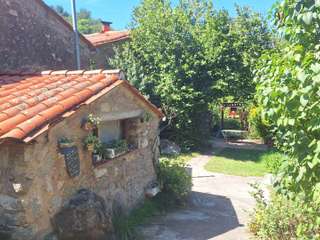 Vente maison 13 pièces