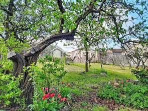 Vente Maison 3 chambresSaint-Léger-sous-Cholet
