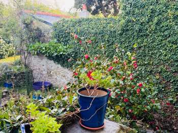 Vente Maison 3 chambresSaint-Malo