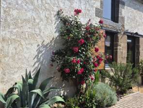 Vente Maison 4 chambresSaint-Malo