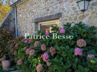 Vente maison 10 pièces