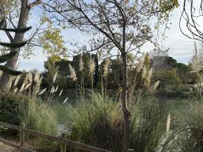 Vente Maison 5 piècesSaint-Martin-de-Crau