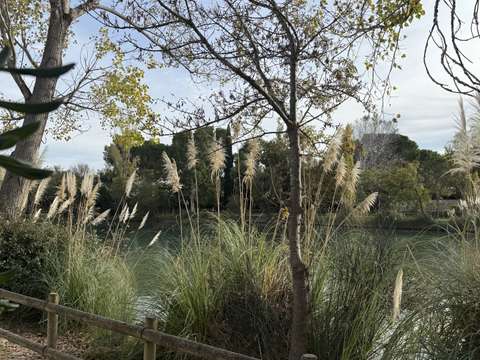 Vente maison 5 pièces Saint-Martin-de-Crau 13