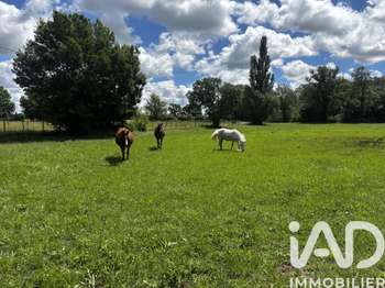 Vente maison 5 pièces Saint-Martin-de-Crau 13