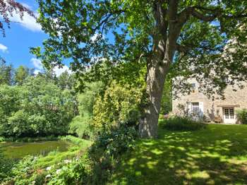 Vente maison 10 pièces