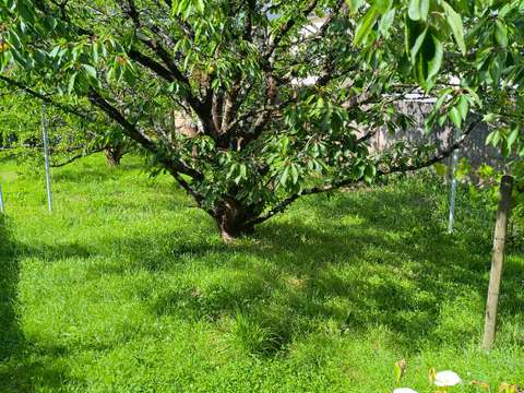 Vente maison 5 pièces Saint-Nazaire 44