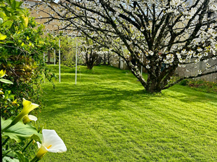 Photo Vente maison Saint-Nazaire