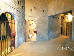 Vente Maison 40 piècesSaint-Nicolas-de-Bourgueil