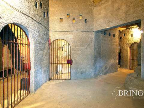 Vente maison 40 pièces Saint-Nicolas-de-Bourgueil 37