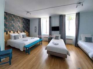 Vente maison 19 pièces