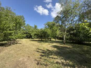 Vente maison 15 pièces