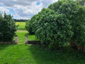 Vente Maison 3 chambresSaint-Paul