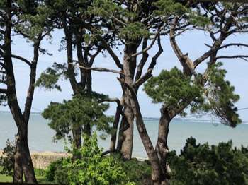 Vente maison 5 pièces Saint-Pierre-Quiberon 56