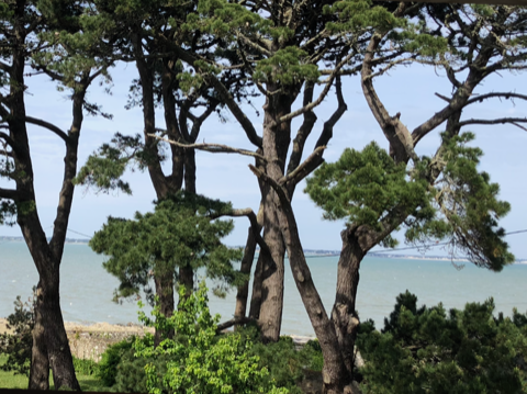 Vente maison 5 pièces Saint-Pierre-Quiberon 56