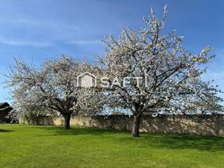 Vente maison 6 pièces