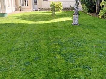 Vente maison 10 pièces Vente maison 10 pièces