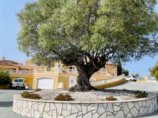 Vente maison 20 pièces