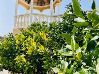 Vente maison 20 pièces