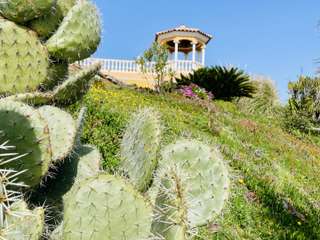 Vente maison 20 pièces