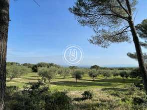 Vente Maison 5 chambresSaint-Rémy-de-Provence