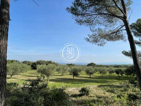 Vente maison 6 pièces Saint-Rémy-de-Provence 13
