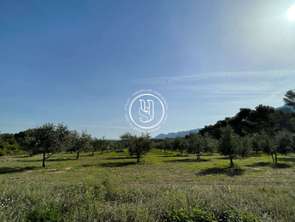 Vente MaisonSaint-Rémy-de-Provence